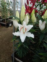 [5560 PO63 Seine No01.JPG]